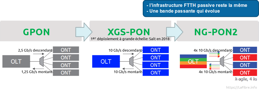 Buy Mein Kampf The - Optical Fiber (900x314), Png Download
