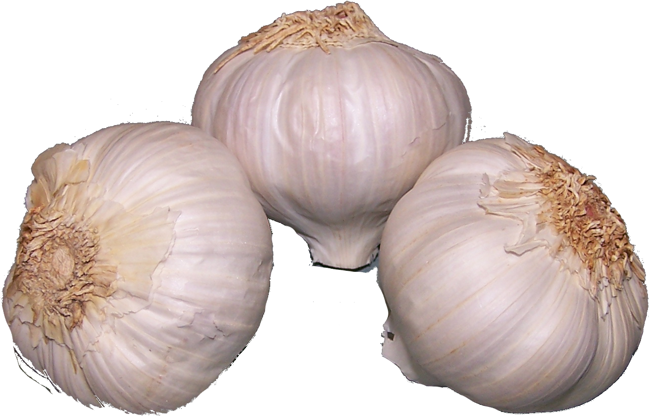 Ristra Ajos Png (1344x904), Png Download