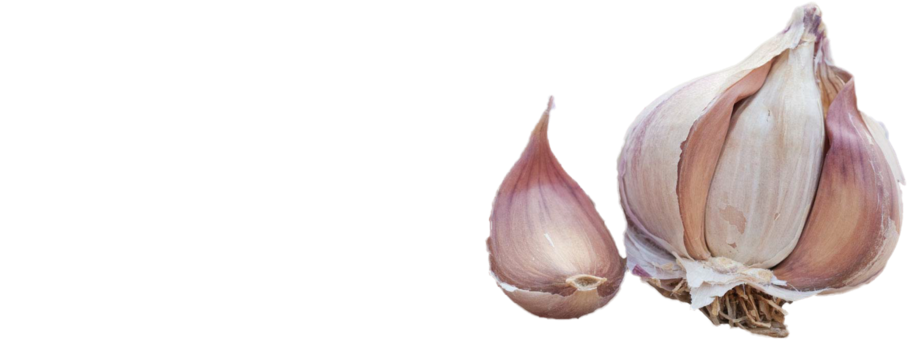 Germidaur - Garlic (1000x382), Png Download