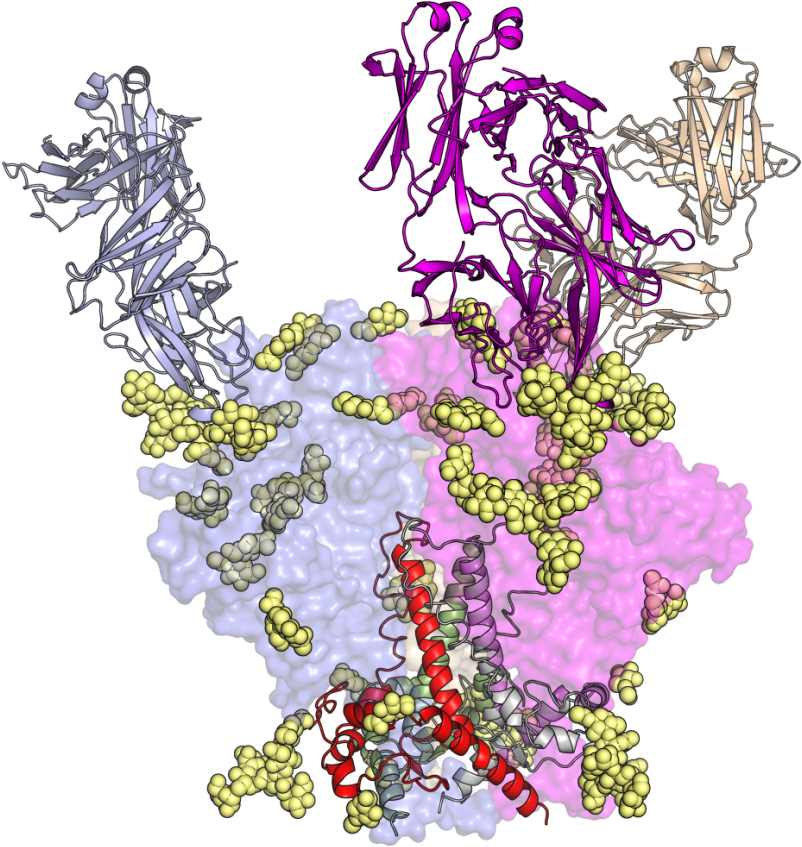 In Pursuit Of Hiv Vaccine, Tsri Scientists Shed Light - Hiv Vaccine (1500x1136), Png Download