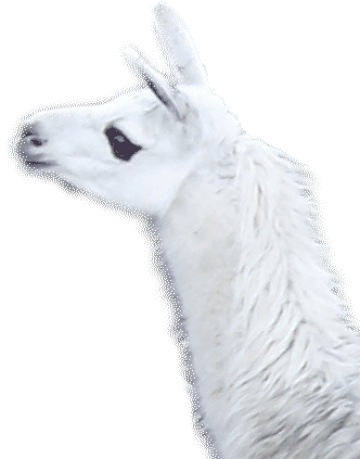 Lama - Wikimedia Commons (332x423), Png Download
