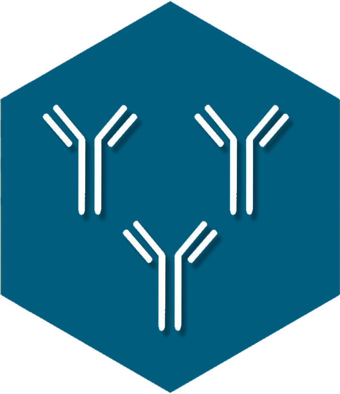 Polyclonal Antibodies - Advanced Immunochemical Inc. (777x823), Png Download