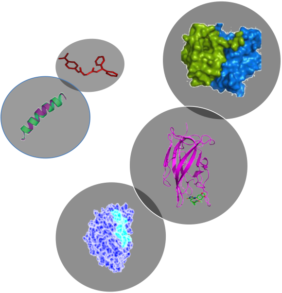 Peptides, Antibodies, Epitopes - Structure Peptide 3d (580x603), Png Download