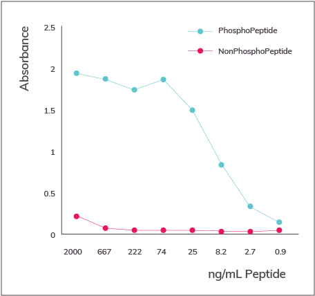 Solutions - Plot (490x457), Png Download