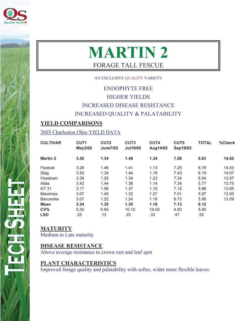 Tall Fescue (800x1035), Png Download