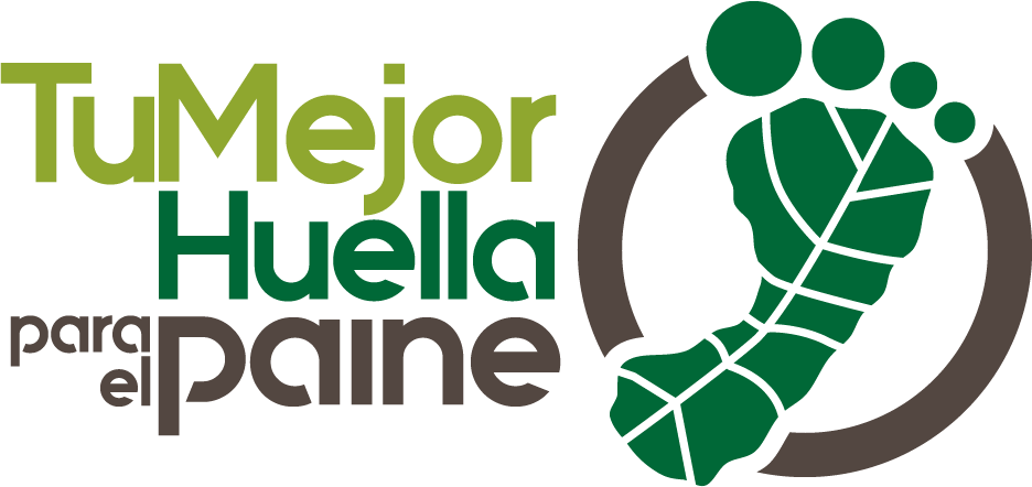 Logopaine Color - Tu Mejor Huella (936x442), Png Download