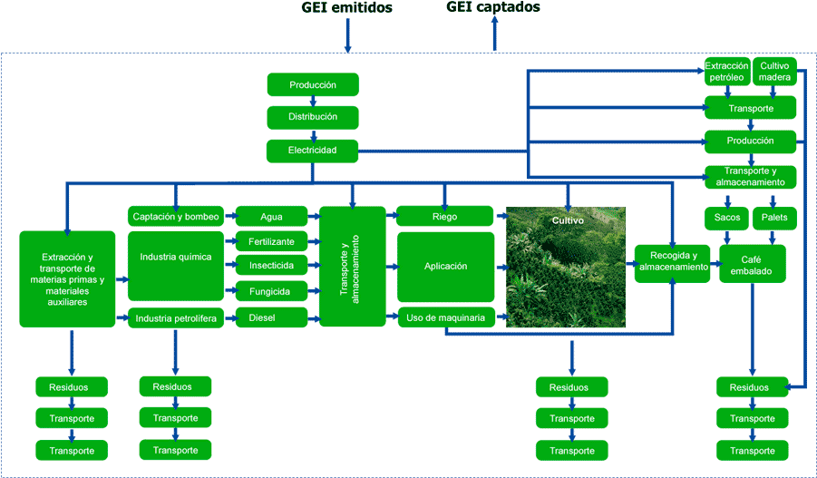 Cafe Huella Carbono Peq - Huella De Carbono Del Cafe (900x537), Png Download