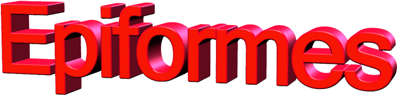 Epiformes Ropa Laboral Original Y De Alta Calidad - Clothing (800x210), Png Download