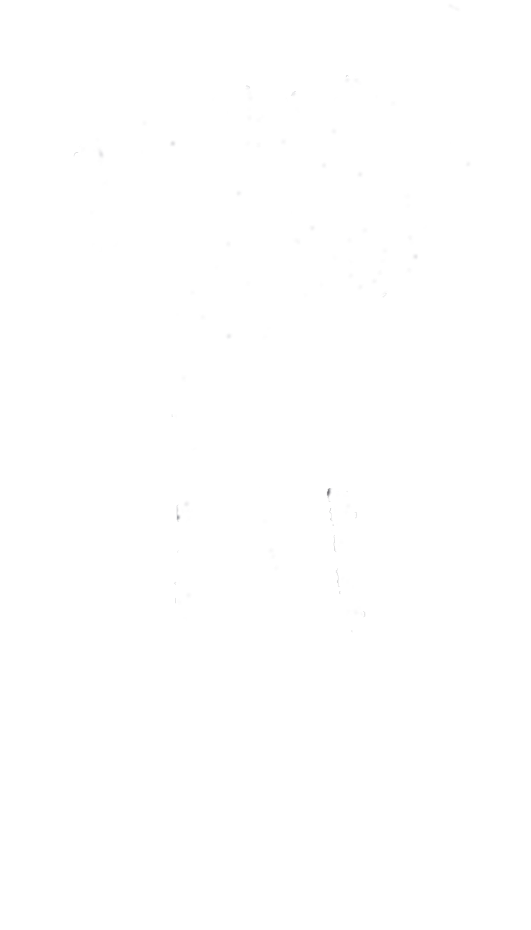 Shirt (1447x1489), Png Download