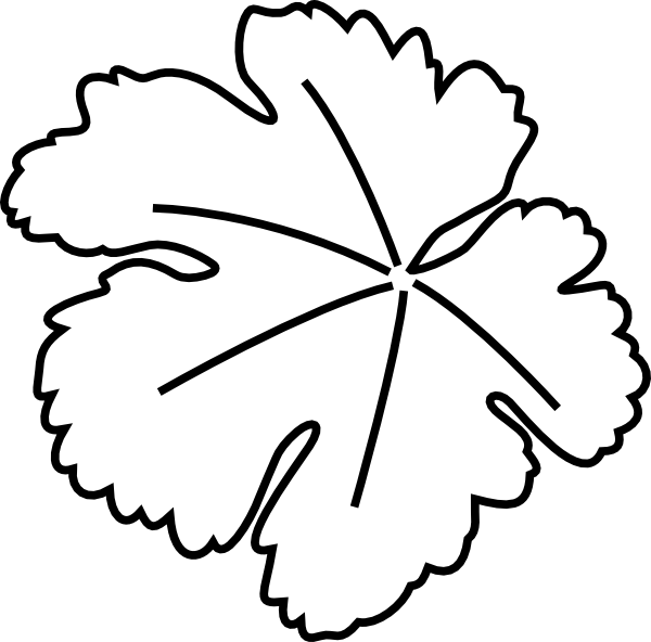 Pot Leaf Font - Pumpkins Leaves Clipart (600x592), Png Download