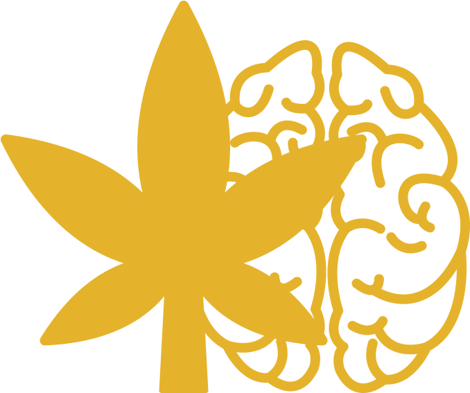 Marijuana Brain Health - Memory (710x600), Png Download