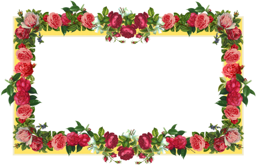 Red Flower Frame Border Frames - Border Design Flower Rose (534x360), Png Download