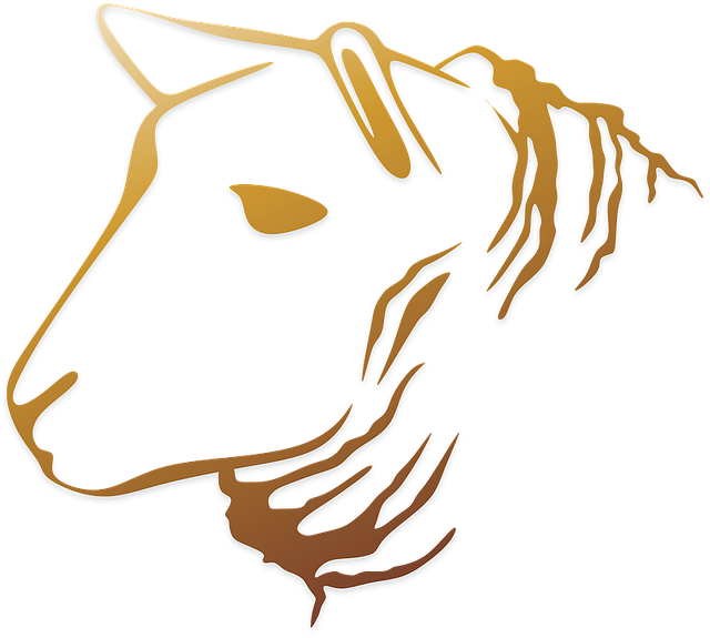 Ladies Mule Slippers, Sheepskin, Wool Lined - Papucs (640x575), Png Download