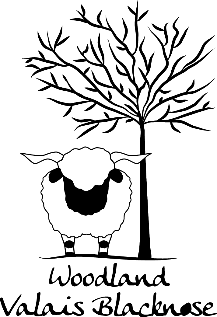 Breeder Info - David Beckham Wallpaper 2010 (713x1042), Png Download