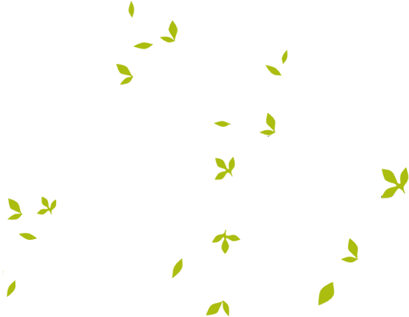 Download Folhas Folhas Png Png Image With No Background Pngkey Com