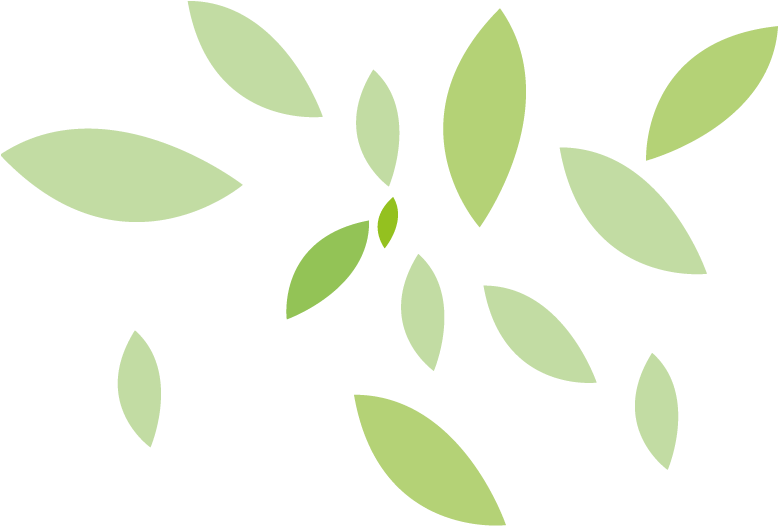 Folhas - Leaf (791x543), Png Download