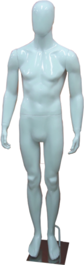 Male (900x1200), Png Download