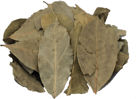 Louro Turco Em Folhas - Bay Leaf (500x500), Png Download