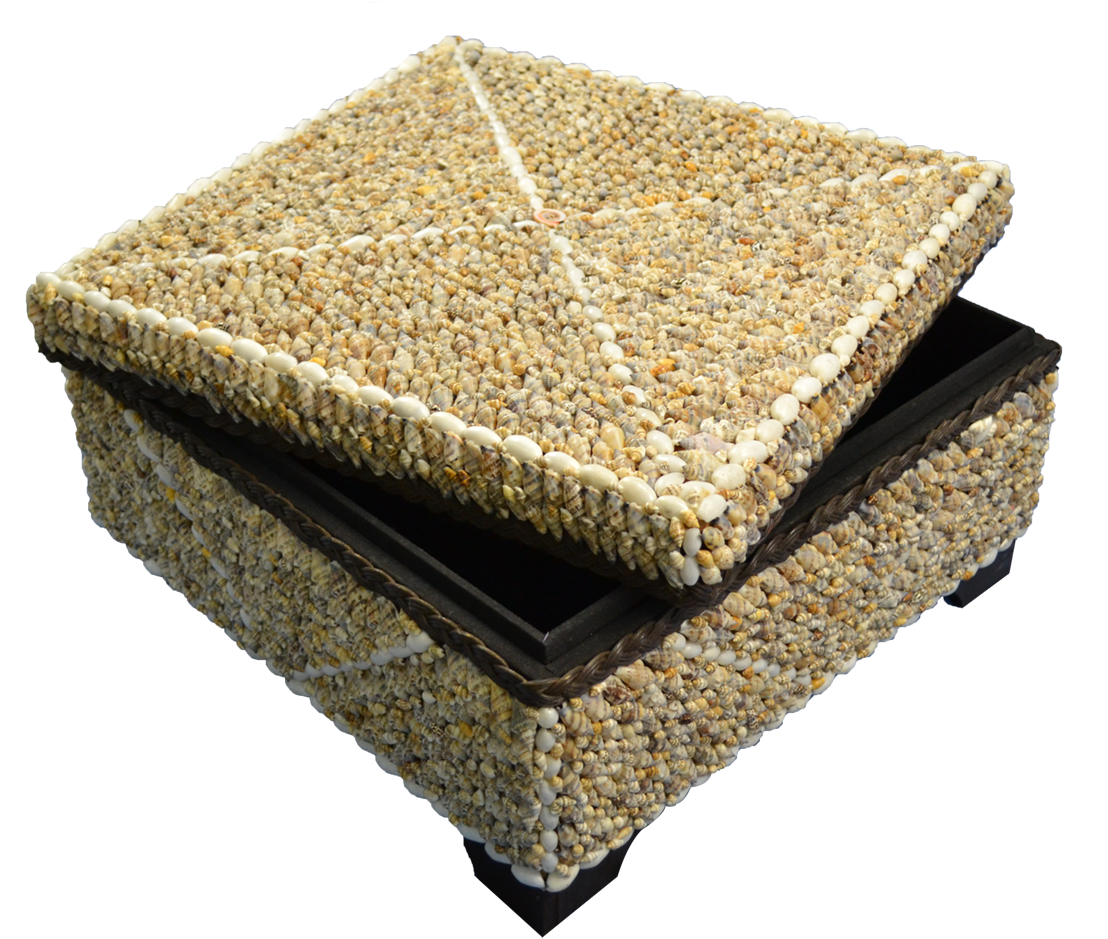 Strombus Shells Seashells Treasure Box-18x18x11" (1650x1100), Png Download