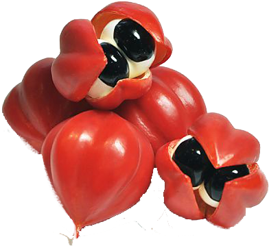 Guaraná - Fruta Liofilizada En Polvo (438x388), Png Download