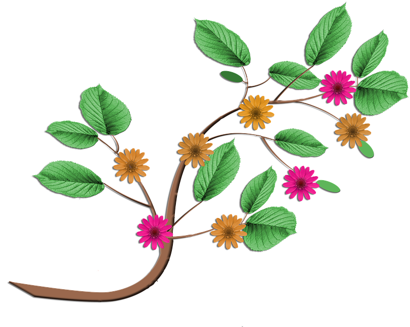 Download Ramos De Flores Desenho Png Ramo Com Flores Png Png Image With No Background Pngkey Com