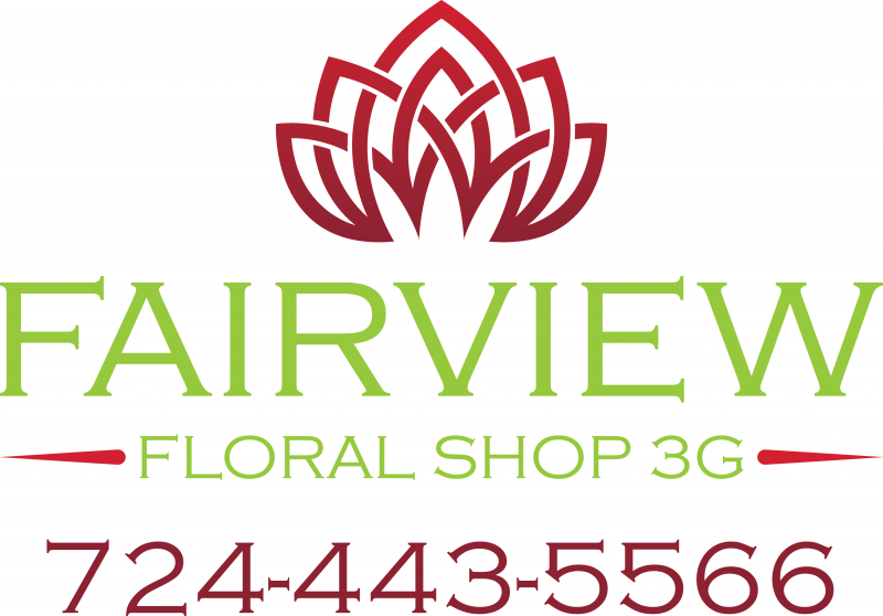 Fairview Floral Shop - Raja Rani Residency Tirupattur (800x558), Png Download