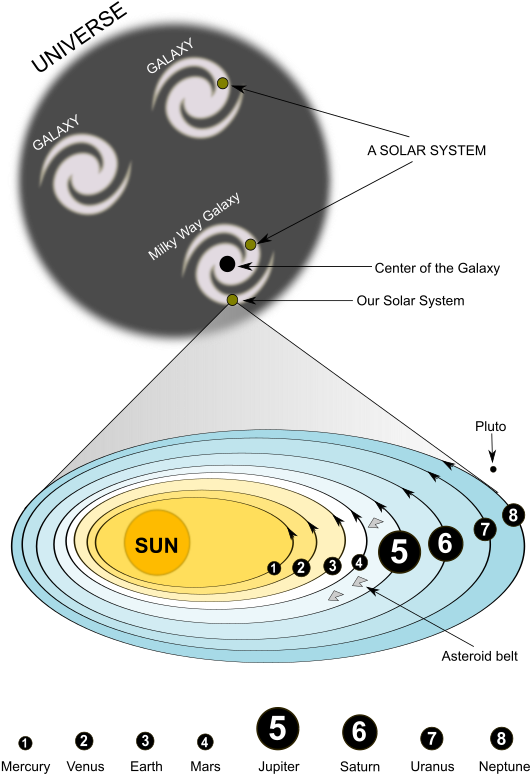 Medium Image - Circle (566x800), Png Download