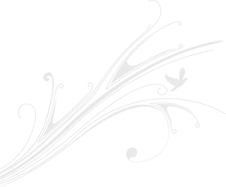 Bolton Abbey Weddings - Line Art (800x696), Png Download