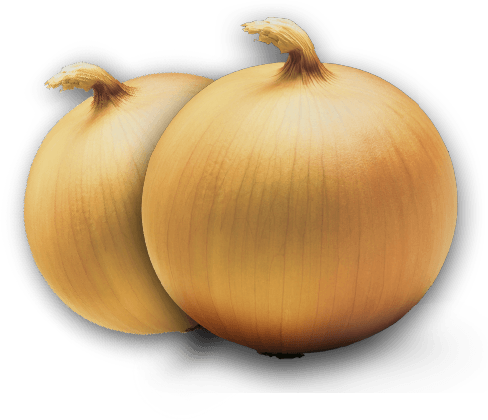 Cebollas Amarillas - Onion (488x420), Png Download