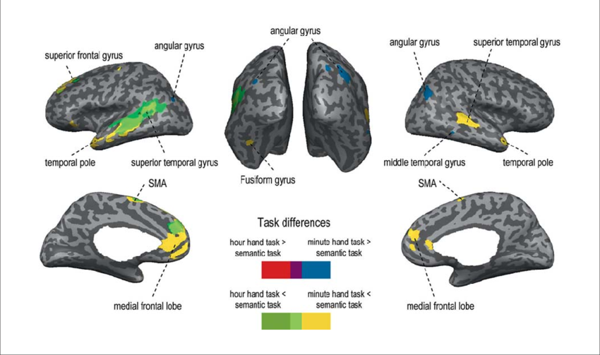 0.001, Uncorrected) For Hour Hand Task Versus Semantic - Blue (850x503), Png Download