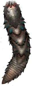 Inhabiting The Asteroid Belt Of Solar Systems, They - Pipevine Swallowtail (360x360), Png Download