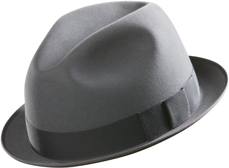 Image - Fedora (750x552), Png Download