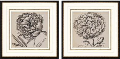 Graphic Floral Art - Vision Studio - Graphic Floral V (390x390), Png Download