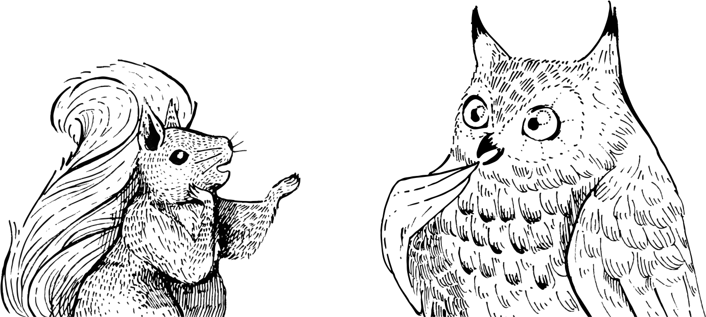 Squirrel And Owl Conversing While Standing - Squirrel And Owl Art (1400x623), Png Download