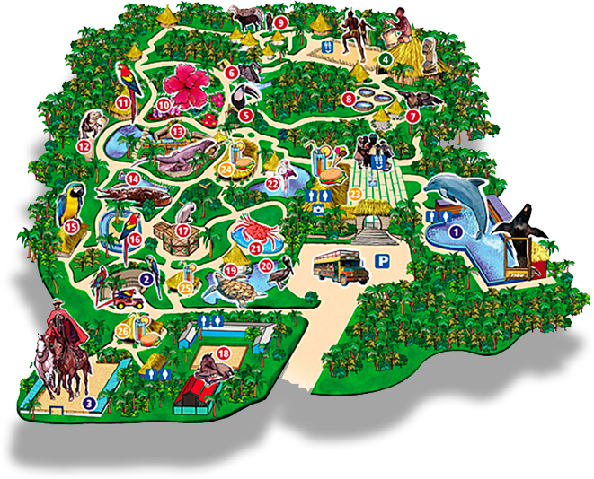 Manati Nature Experience - Manati Park Punta Cana (661x534), Png Download