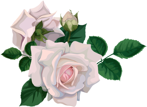 Par Thinou Le 23 Mai 2015 À - Kaisercraft 12x12 Scrapbook Paper-floral Bouquet 10 (489x356), Png Download