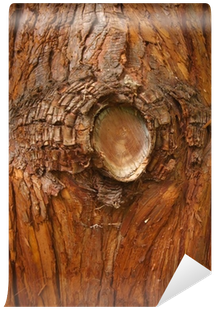 Tree Bark Texture Abstract Background Wall Mural • - Abstract Art (400x400), Png Download