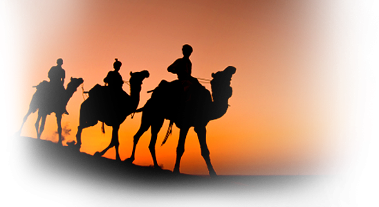 The Arab Merchants Travelled Across The Desert With - Dvd Census And The Star, (548x299), Png Download