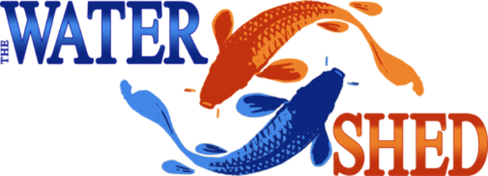 Pond Salt - Jpeg (693x250), Png Download