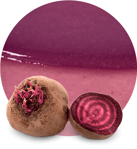 Beetroot Juice - Fruit (536x595), Png Download