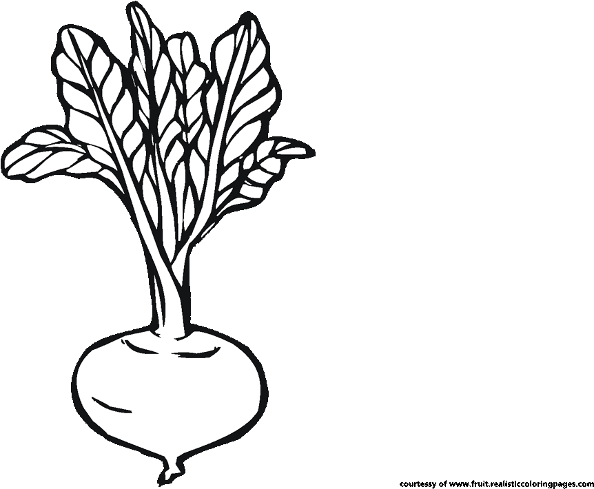 Beetroot Clipart Black And White - Beetroot Black And White (1280x720), Png Download