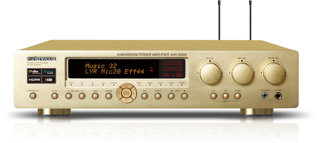 Dolby And Dts Cinema Decoding，built In Wireless Microphone - Dolby Digital (1190x479), Png Download