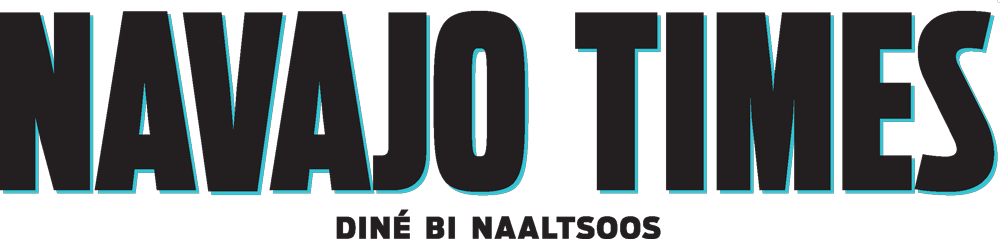 Thank You To Our News Partners - The Damn Times (1000x239), Png Download