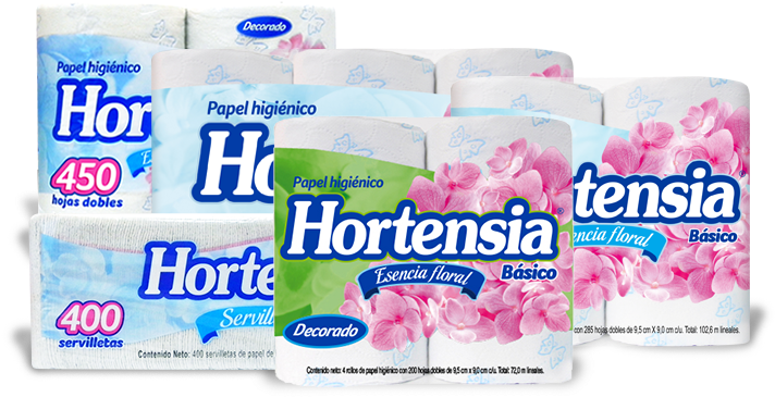Familia Hortensia Básico - Family (800x600), Png Download