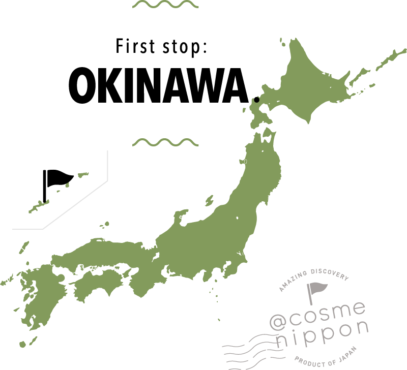 After All, It Can't Just Be Something In The Air That - Small Japan Map (800x728), Png Download