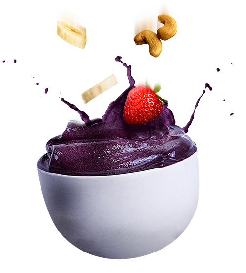 Açai Em Png - Açaí Palm (504x559), Png Download