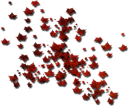 Clique Na Imagem Para Ver O Tamanho Real Ou Salvar - Enfeites Para Capa Png (453x566), Png Download