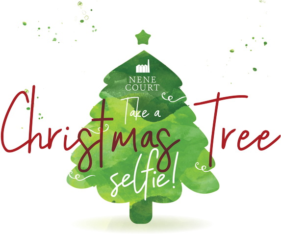 Christmas Tree Selfie - Product (600x489), Png Download