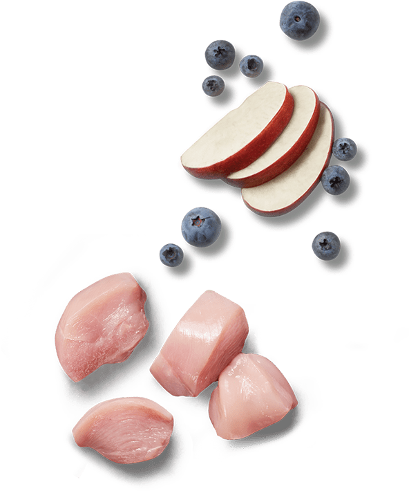 Learn How Raw Nutrition Is Different - Kidney Beans (872x709), Png Download