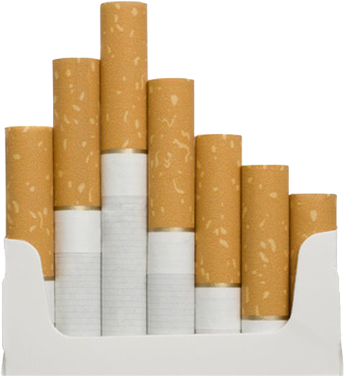 Filter In A Cigarette (600x600), Png Download
